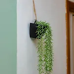 Ubuntu House - Homestay Charleroi