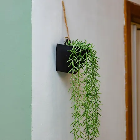 Ubuntu House - Kwatera prywatna Charleroi